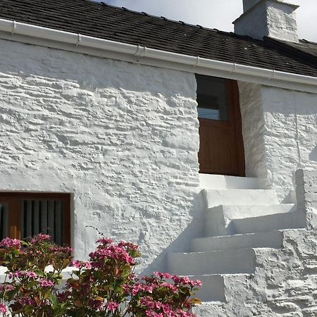 Little Barn Cottage Newport  Eksteriør bilde